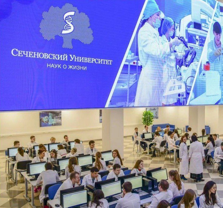 Study Programs for International Students